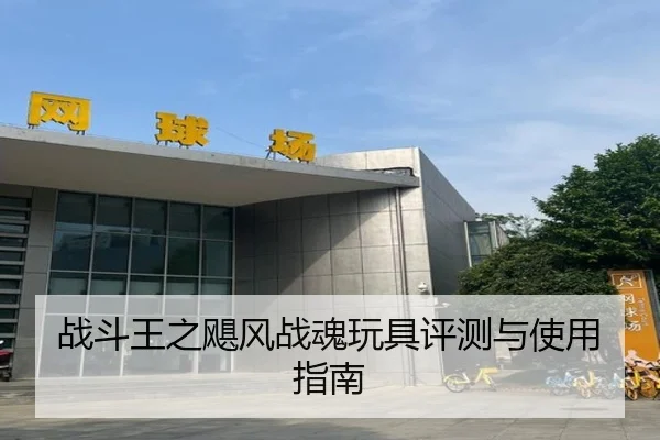 战斗王之飓风战魂玩具评测与使用指南