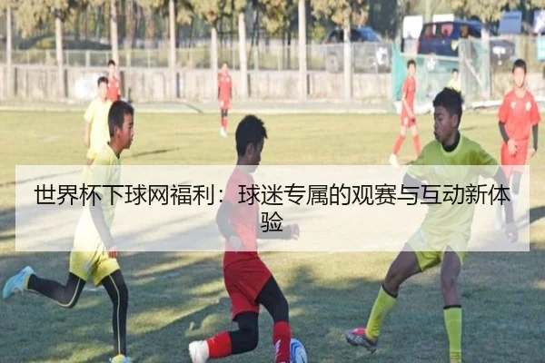 世界杯下球网福利：球迷专属的观赛与互动新体验