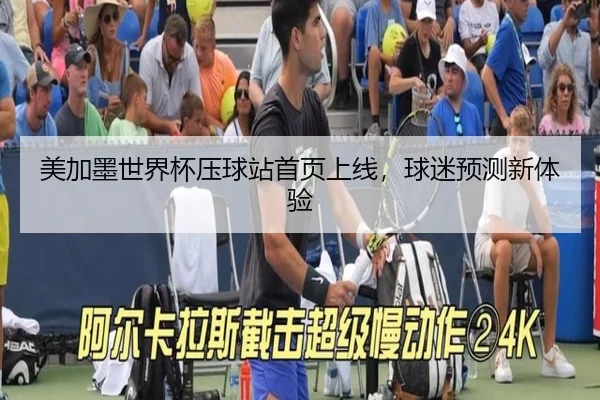 美加墨世界杯压球站首页上线，球迷预测新体验